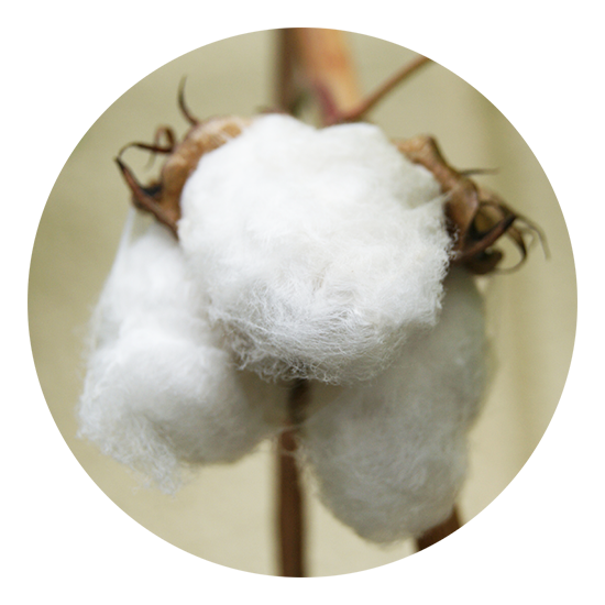 三河木綿の歴史(刺子生地とは)